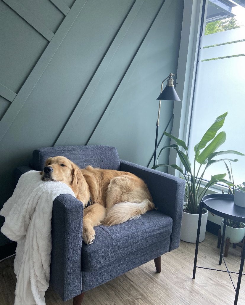 Screenshot 2023-10-10 at 5.54.41 PM